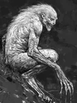 Weerwolf