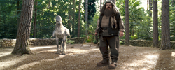 Hagrid and Buckbeak