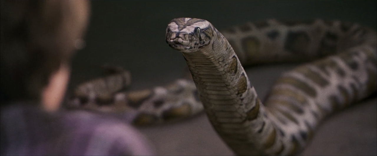 harry potter chamber of secrets snake