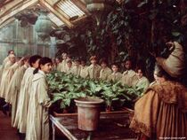 Herbology88