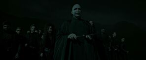 Voldemort and his Death Eaters