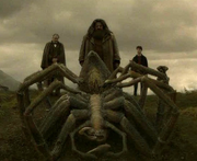 Aragog mort