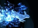 BrownHare-patronus.jpg (35 KB) Brown Hare