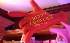 Creepy Crawlies