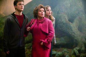 Harry-umbridge-and-hermione-in-the-forbidden-forest-1050x0-c-default