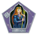 Morgan Le Fay-17-chocFrogCard