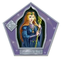 Morgan Le Fay-17-chocFrogCard