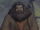 Rubeus Hagrid 2 - PAS.png