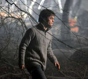 Deathly hallows daniel radcliffe photo