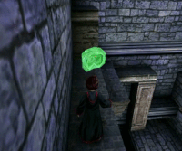 Ectoplasmus