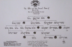 Famiglia Black J.K. Rowling