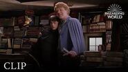 Gilderoy Lockhart Harry Potter and the Chamber of Secrets