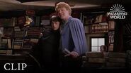 Meeting Gilderoy Lockhart