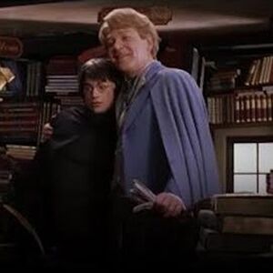 Gilderoy Lockhart Harry Potter Wiki Fandom