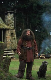 Harry Potter / Rubeus Hagrid Costume / Hermit Mage / Biblical /  Groundskeeper