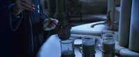 Polyjuice Potion Vials