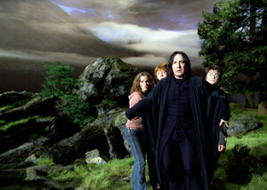 Você que foi Snape quem acertou a orelha de Jorge? #harrypotter