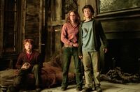 The Trio PoA