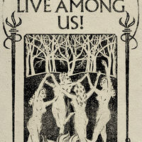 Witches Live Among Us Harry Potter Wiki Fandom