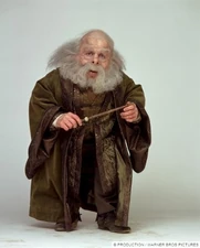 Филиус Флитвик