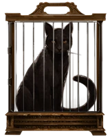 Black-cat-lrg.png (41 KB) Black-cat-lrg