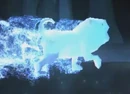 Chow Patronus.png (131 KB) Chow Dog