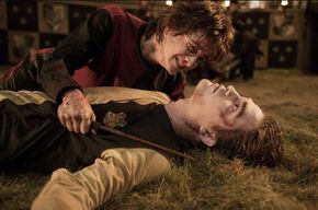 Harry-e-cedric