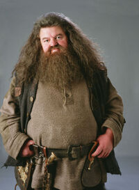 PromoHP3 Rubeus Hagrid