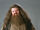 Rubeus Hagrid