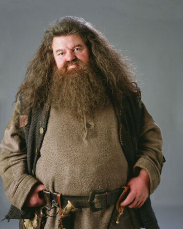 Rubeus Hagrid Wiki Harry Potter Fandom