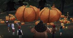 Students showing Hagrid big pumpkins MA