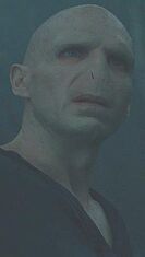 Voldemort Profile Infobox