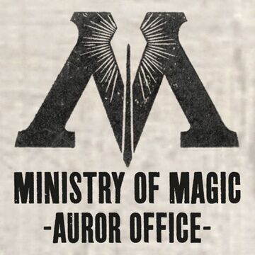 what is an aura in harry potter , when did harry potter studios open