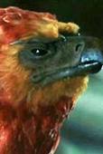 Fawkes