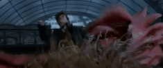 NewtAscendio.gif