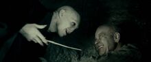 Voldemort and Grindelwald