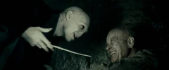 ニワトコの杖 Harry Potter Wiki Fandom