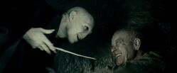 トム リドル Harry Potter Wiki Fandom トム リドル Harry Potter Wiki Fandom