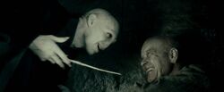 Voldemort and Grindelwald