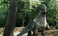 Buckbeak