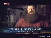 Robbie Coltrane as Hagrid