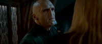 Voldemort Crystal house