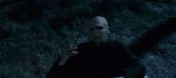 Voldemort testing the Elder Wand
