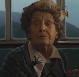 Food Trolley Lady