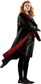 HG Uniforme.png