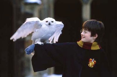 Gufo, Harry Potter Wiki