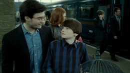 Harry and Albus Potter