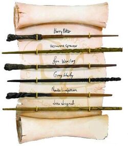 Волшебная палочка | Гарри Поттер вики | Fandom