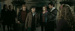 Harry, Ron, Hermione, Neville and Lavender