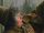 Professor Sprout handling a Mandrake.jpg
